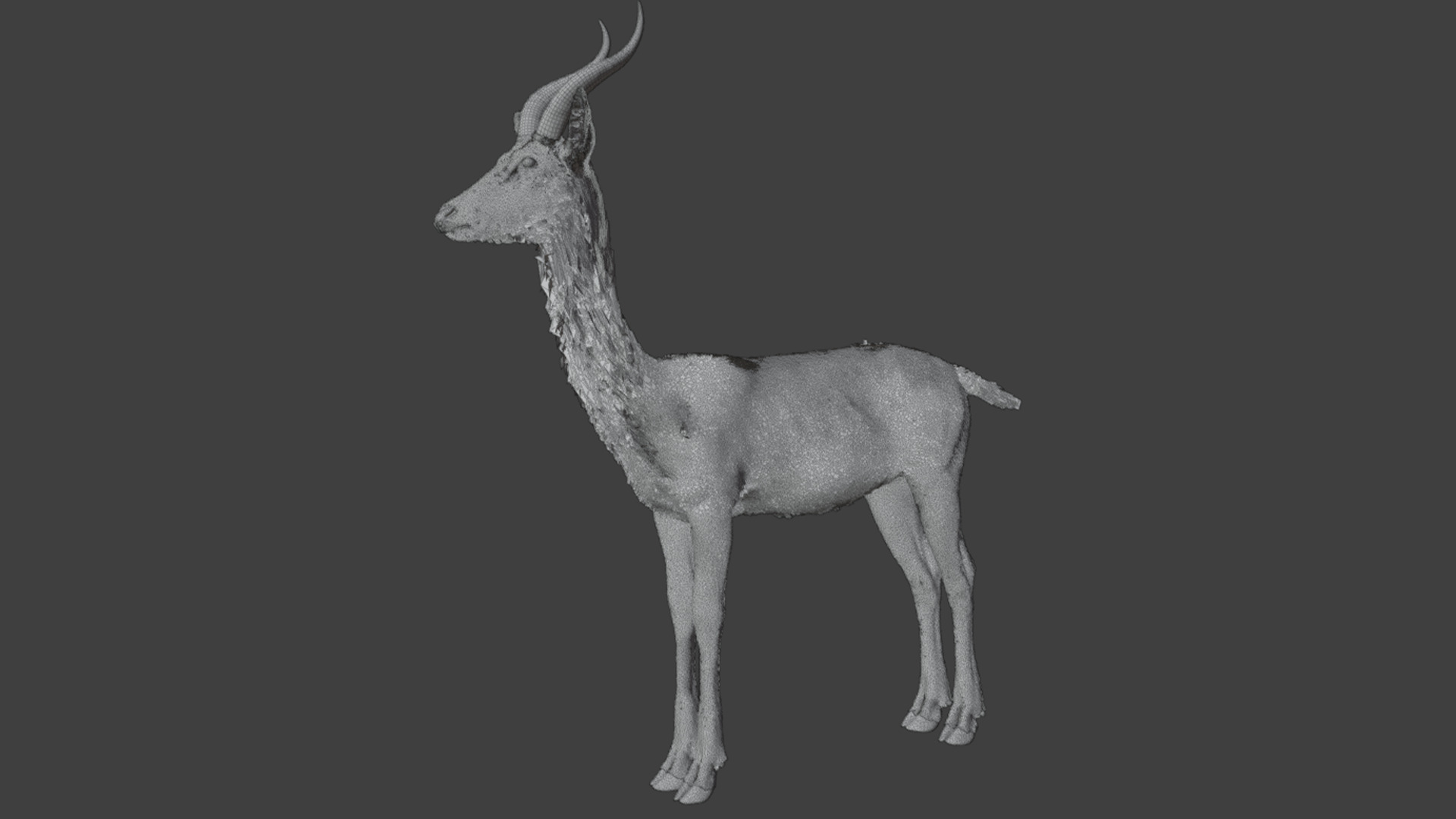 Gerenuk - Giraffe  Antelope  Realistic 3D model_13