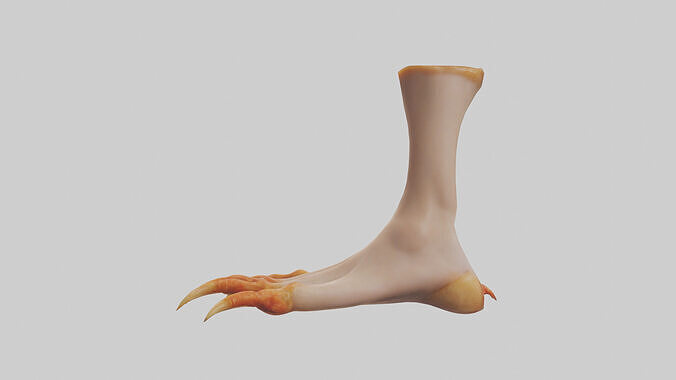 Chicken Feet Model 3D model