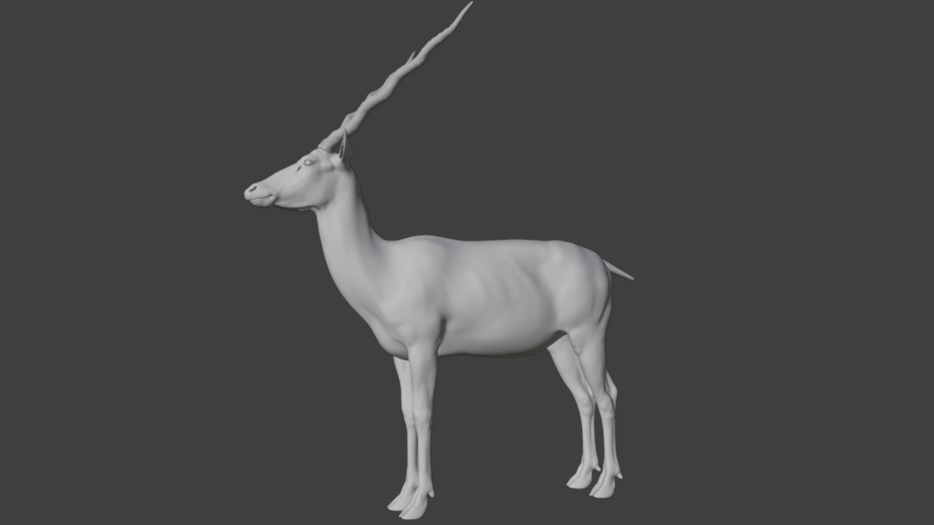 Blackbuck Realistic Animated 3D model_16