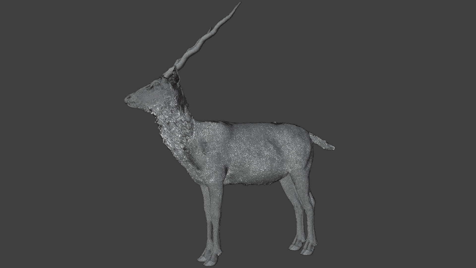 Blackbuck Realistic Animated 3D model_18