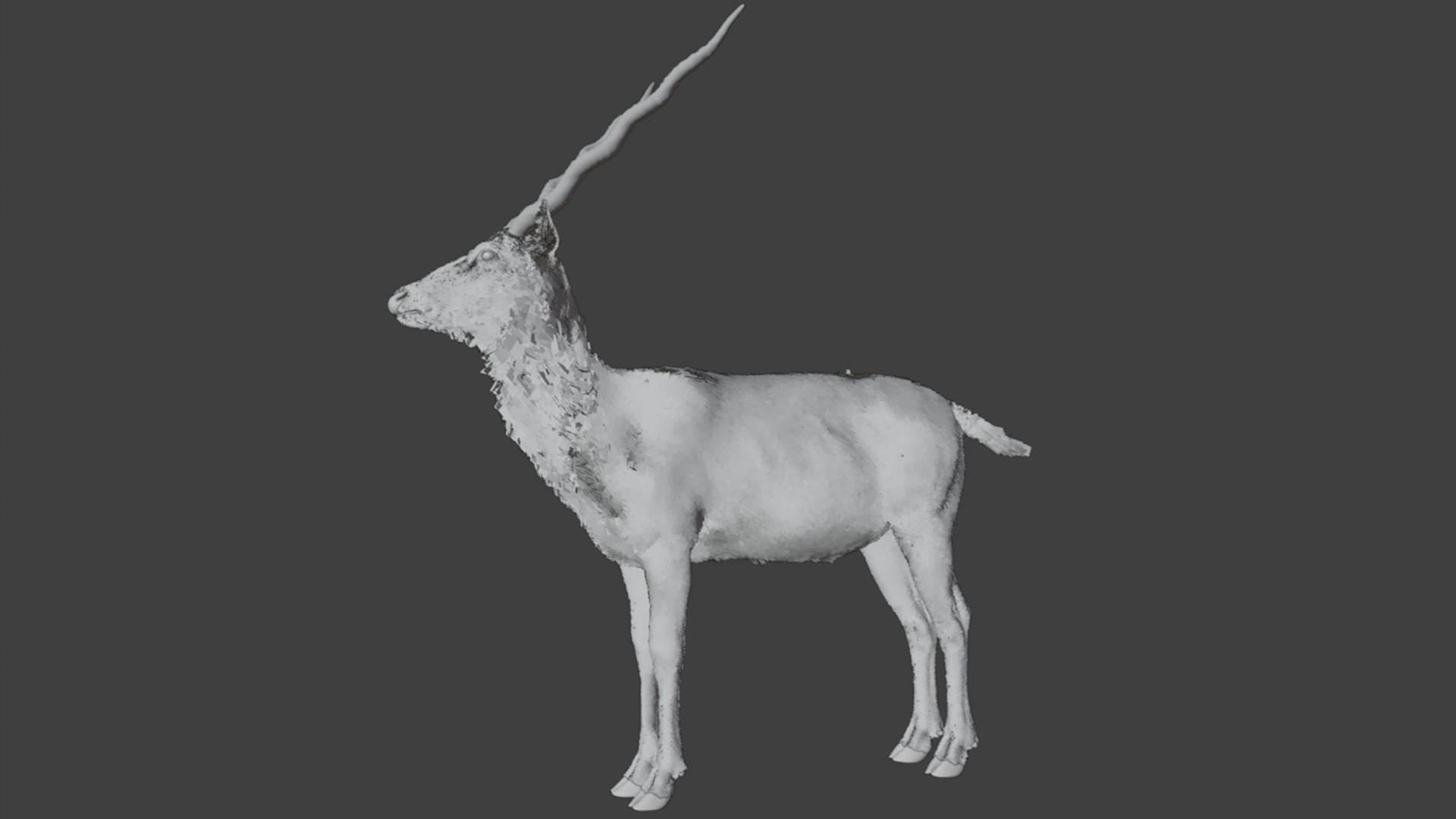 Blackbuck Realistic Animated 3D model_17