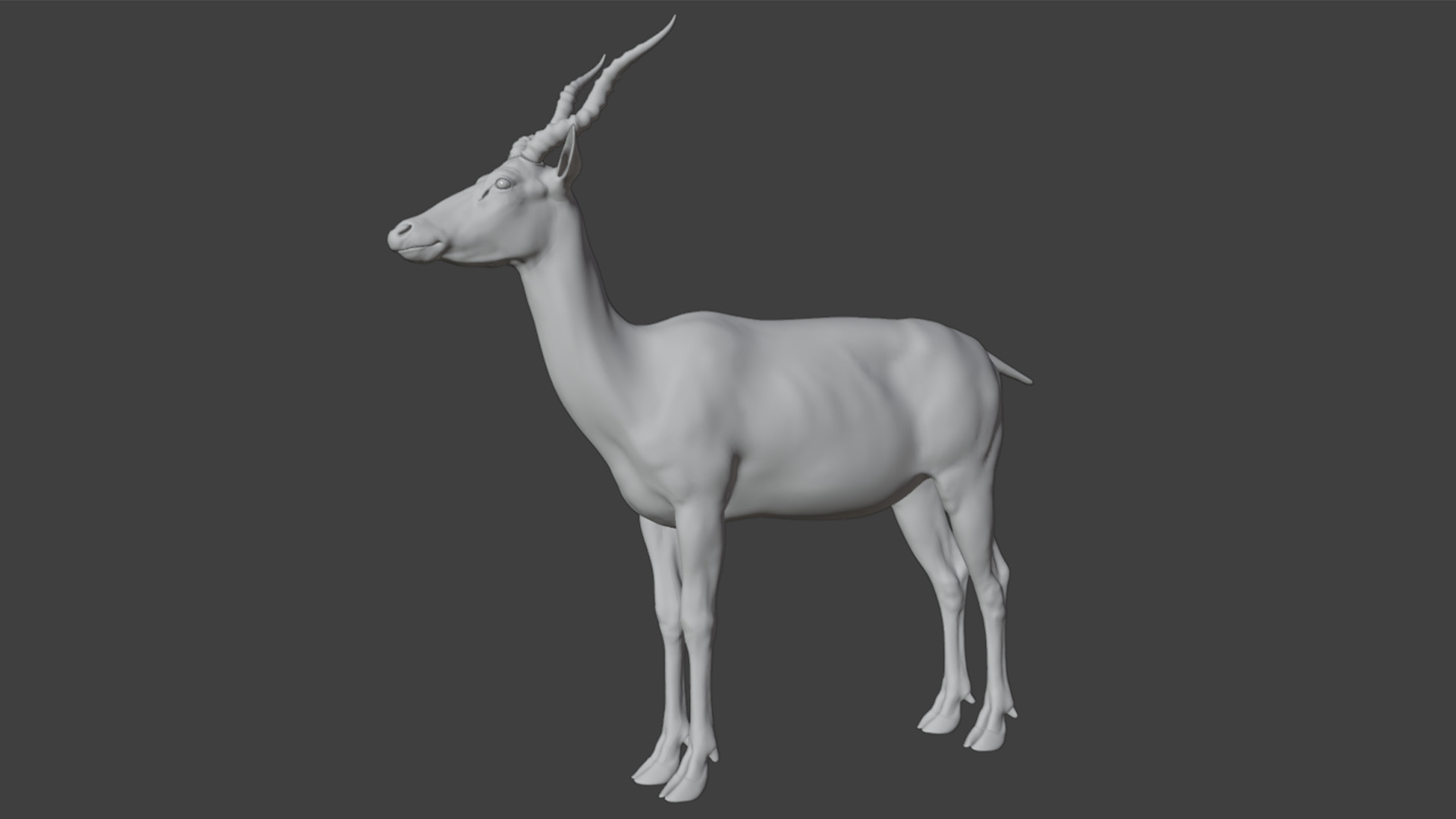 Young Blackbuck Realistic Animated 3D model_9