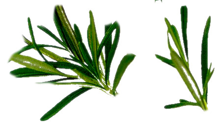 3D Forest Cottage Detailed House and  Nature Scene 3D model_39