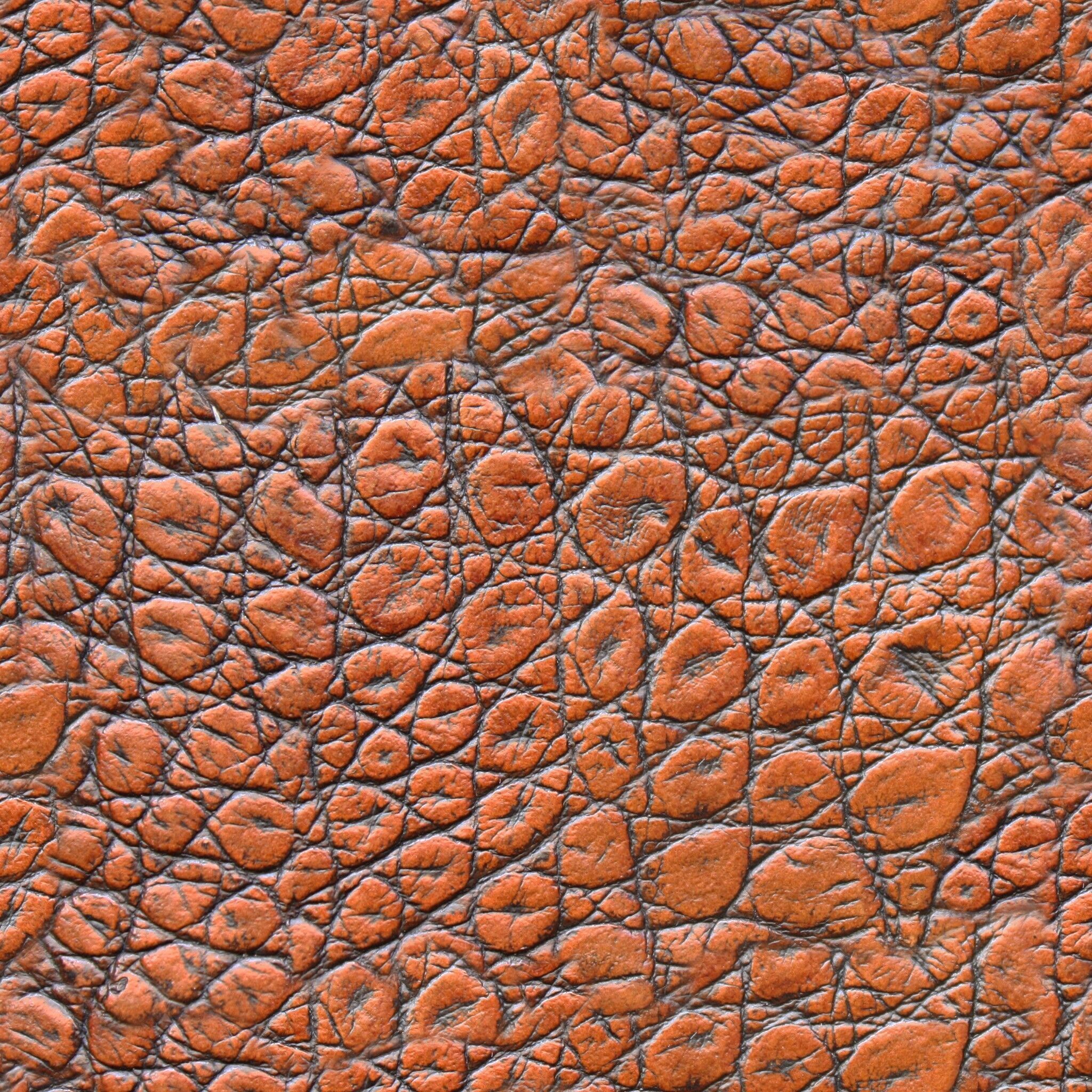 3D Forest Cottage Detailed House and  Nature Scene 3D model_19