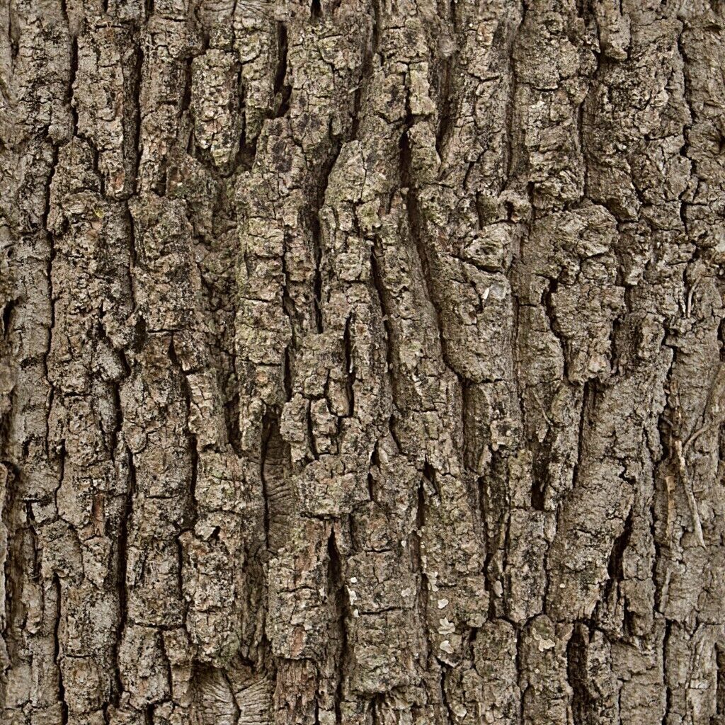 3D Forest Cottage Detailed House and  Nature Scene 3D model_26