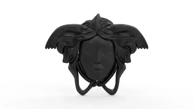 Medusa Head 04