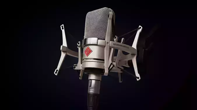 Neumann professional  microphone