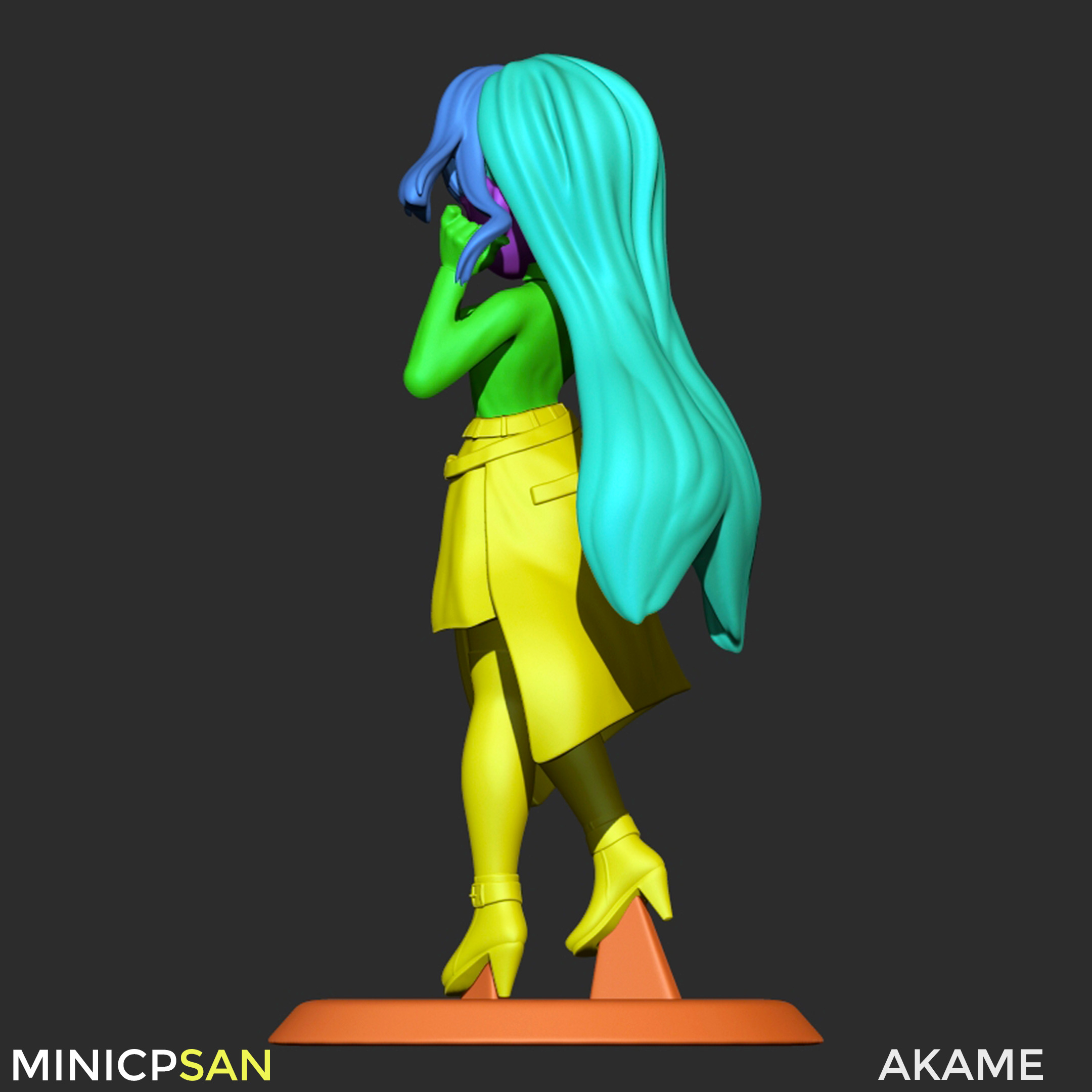 Akame - Cute Black Top Outfit - Akame Ga Kill Anime 3D print model_9