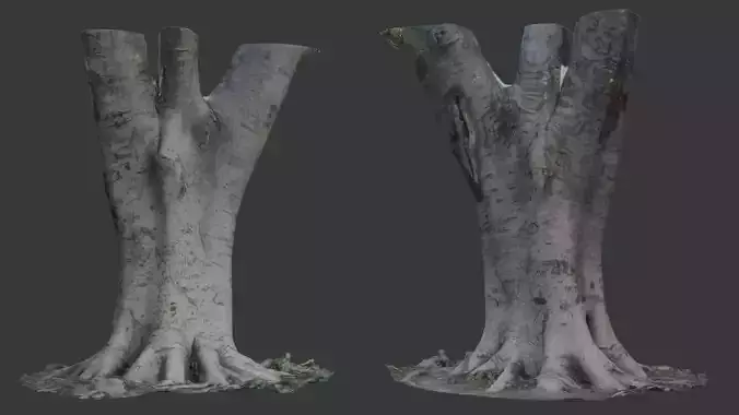Tree Trunk with Roots Scanned Model Low-poly 3D model