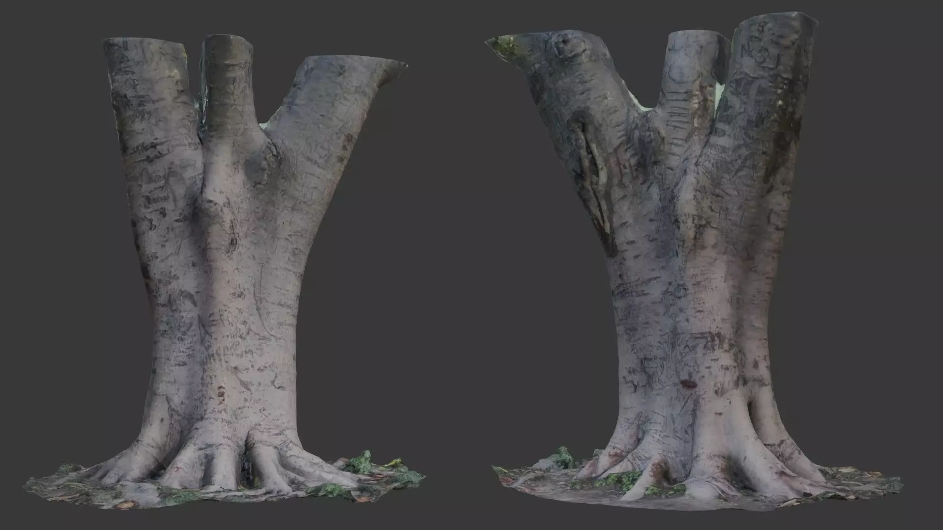 Tree Trunk with Roots Scanned Model Low-poly 3D model_0