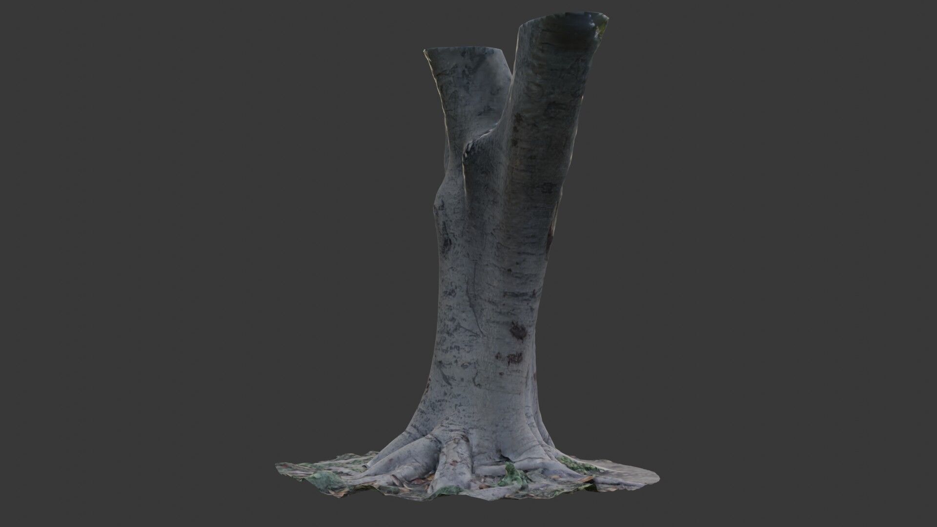 Tree Trunk with Roots Scanned Model Low-poly 3D model_7