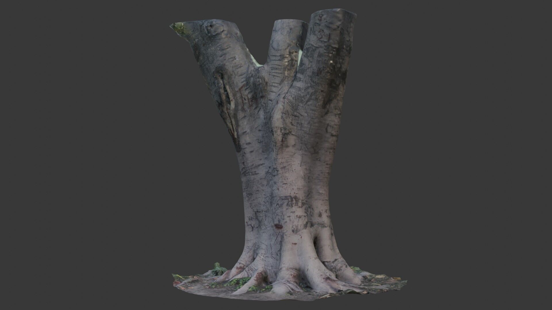 Tree Trunk with Roots Scanned Model Low-poly 3D model_1