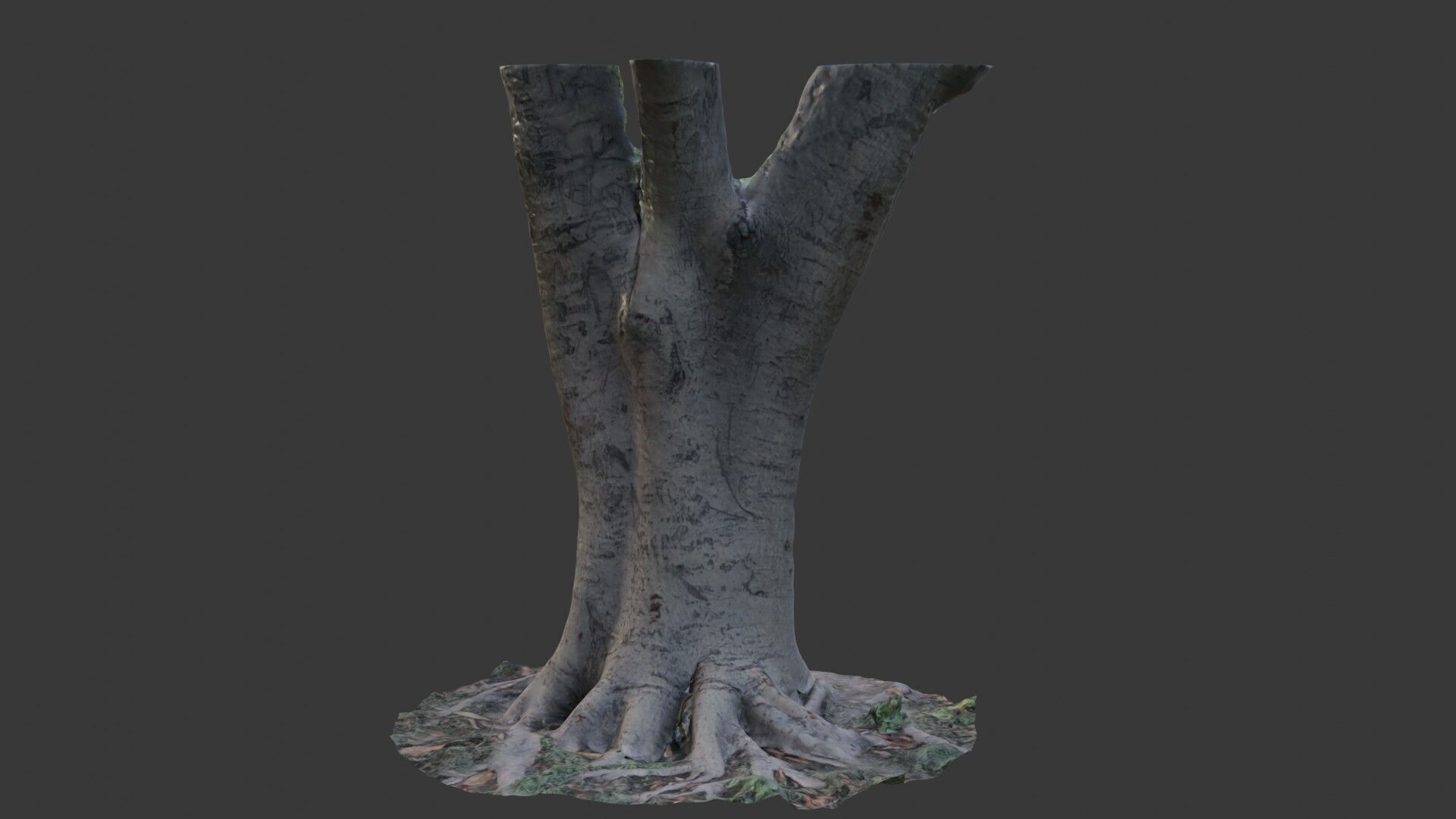 Tree Trunk with Roots Scanned Model Low-poly 3D model_3