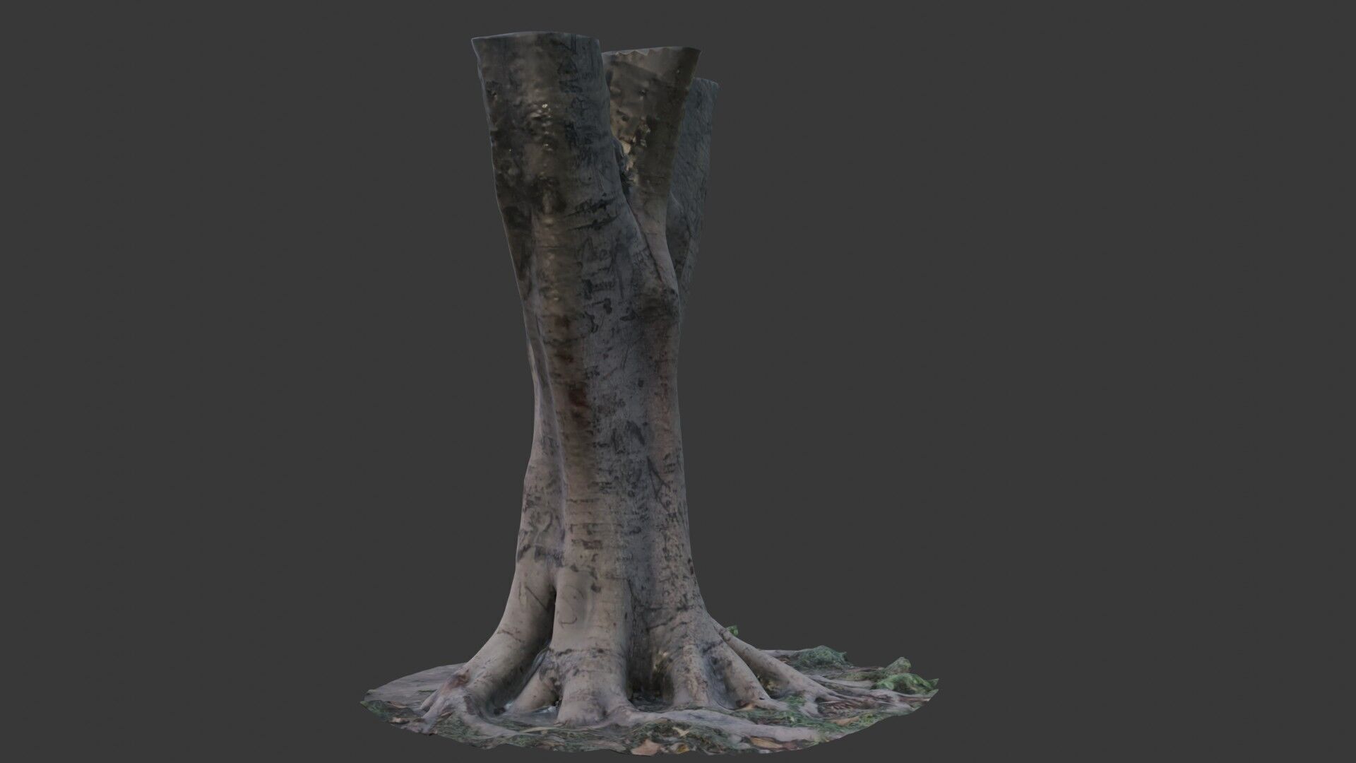 Tree Trunk with Roots Scanned Model Low-poly 3D model_4