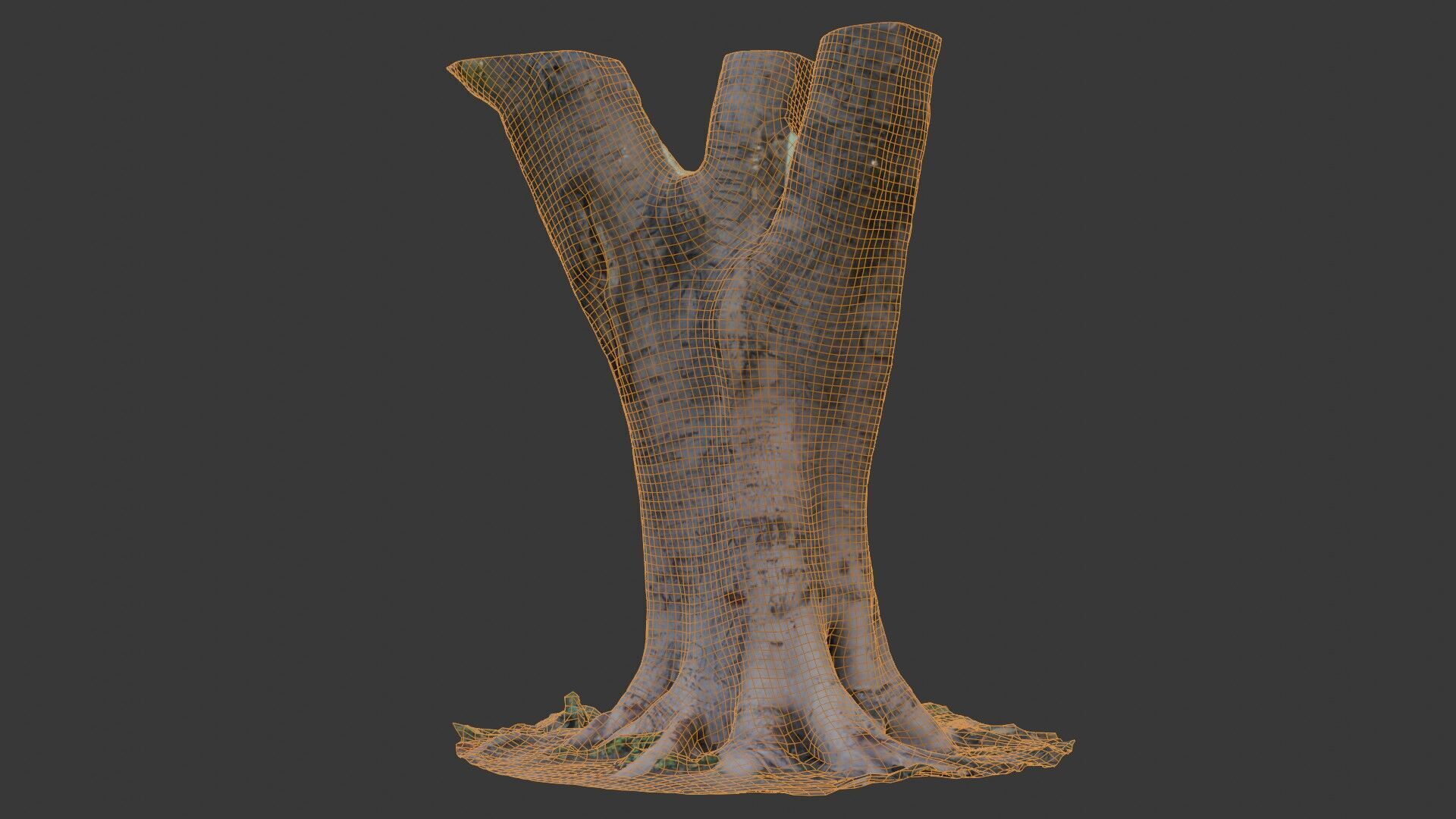 Tree Trunk with Roots Scanned Model Low-poly 3D model_2