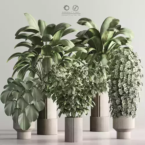 Indoor Plant Set 96