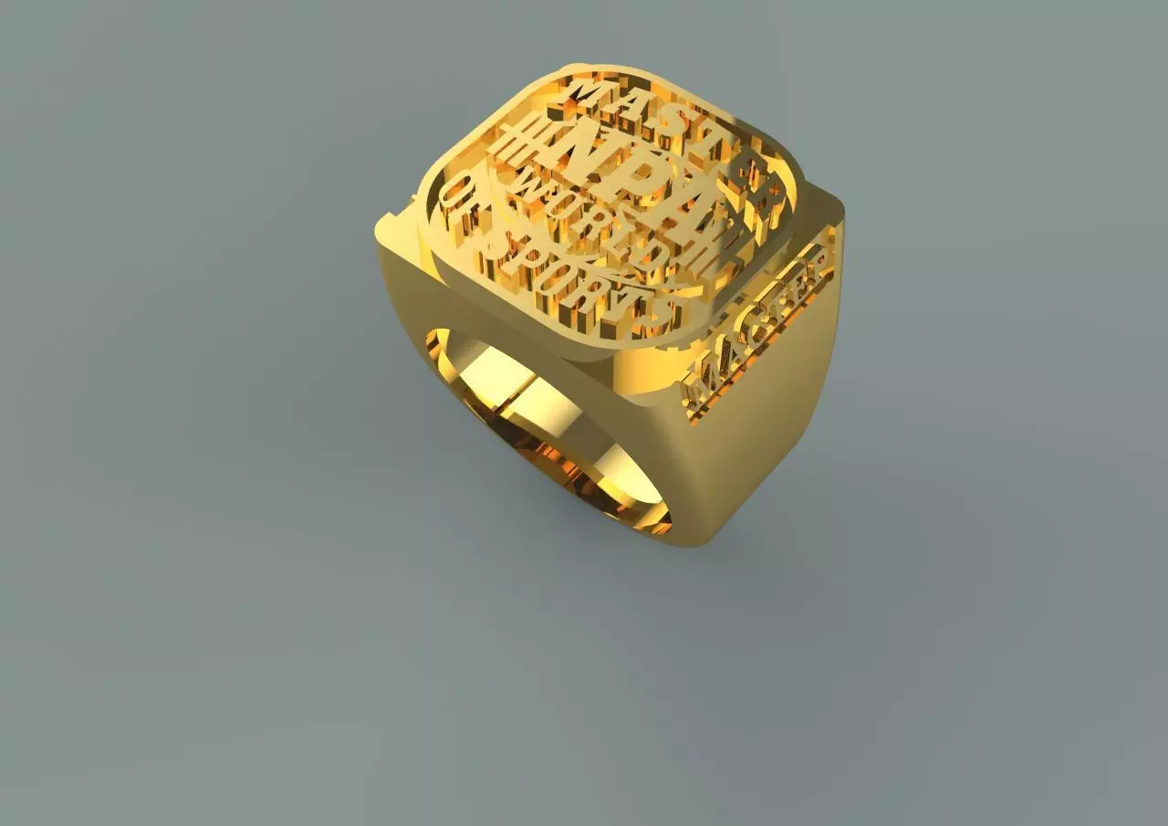 Master Sport 3D print model