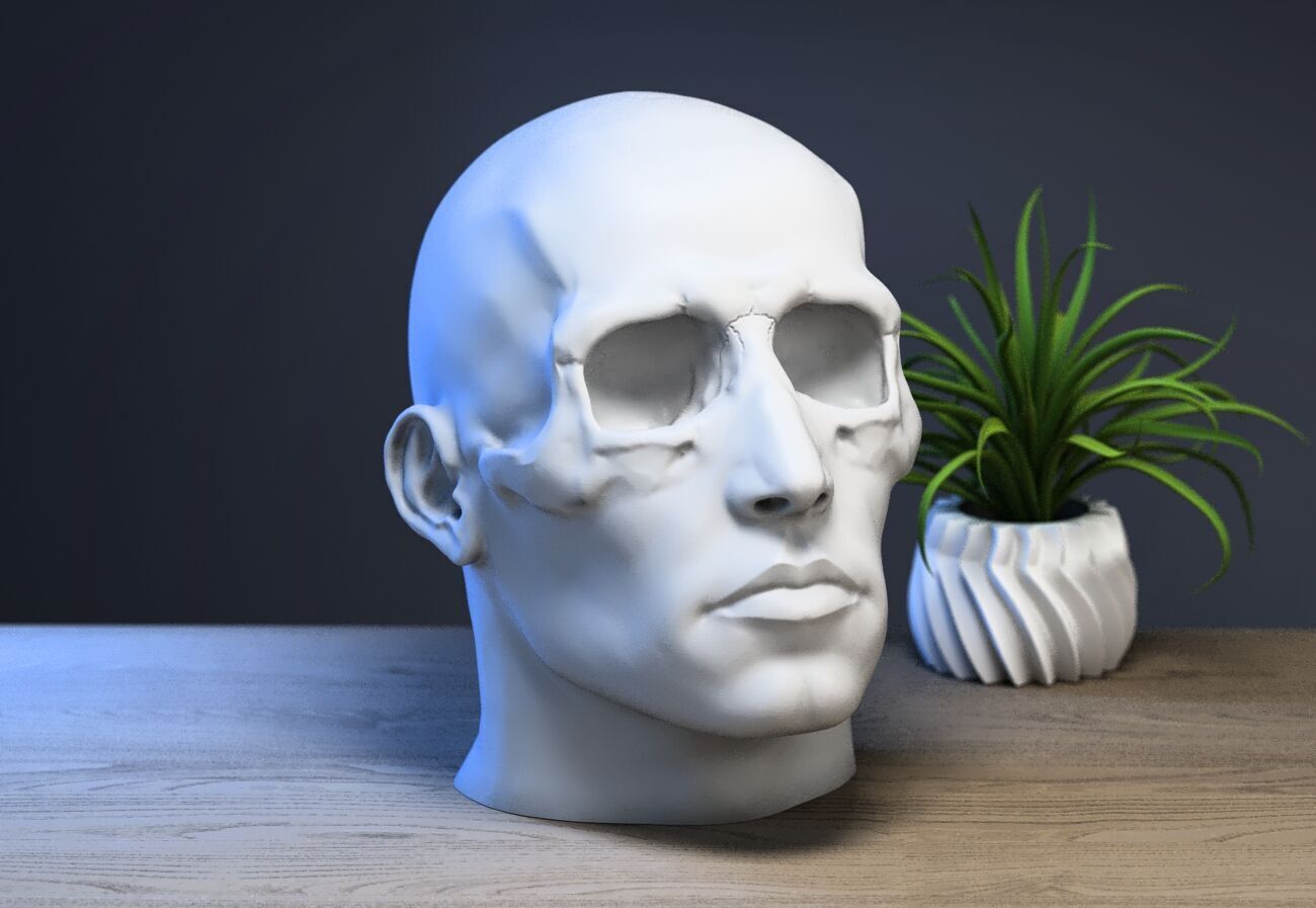 skull human mix Headphone Stand 3D print model_3