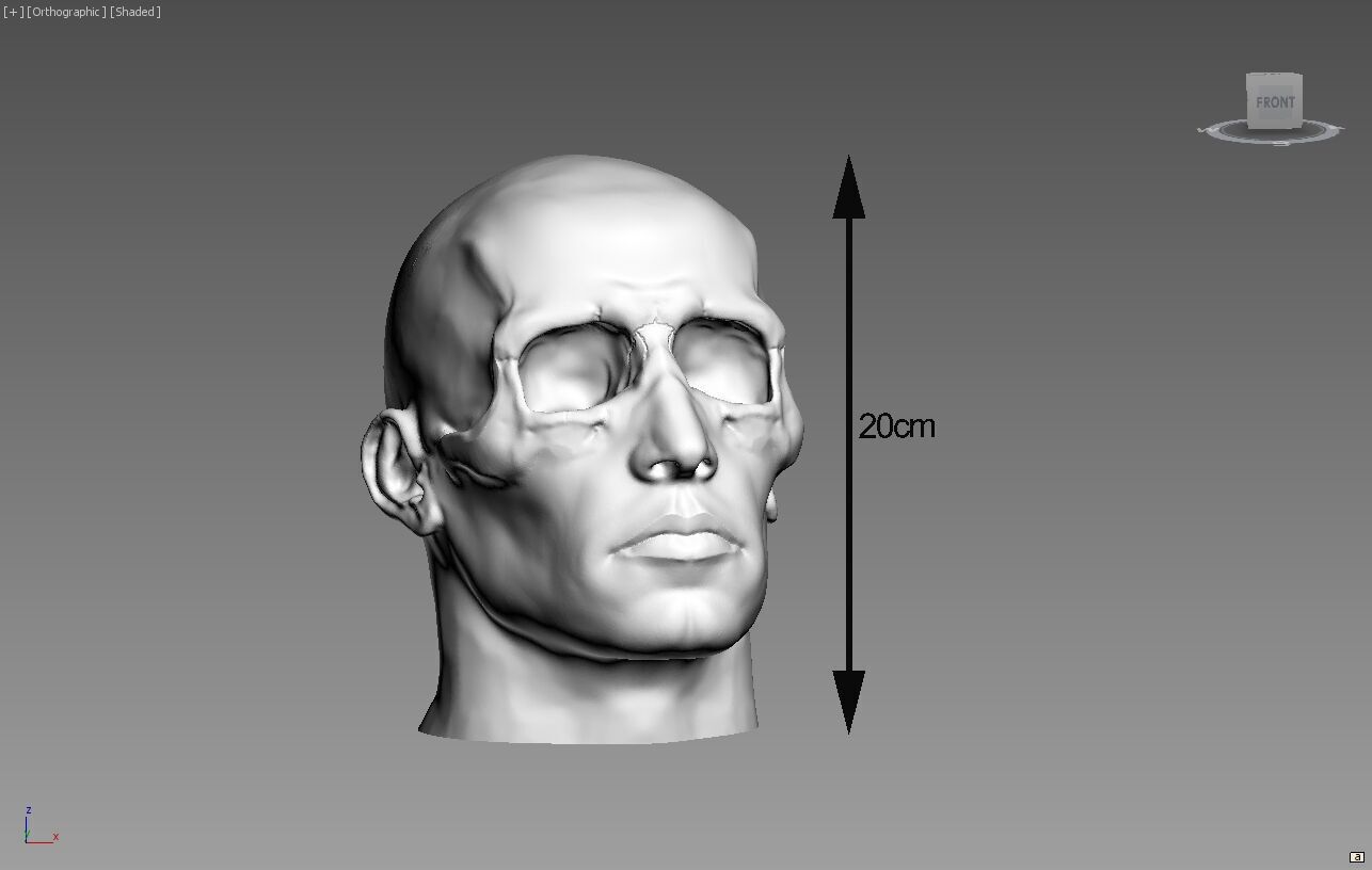 skull human mix Headphone Stand 3D print model_4