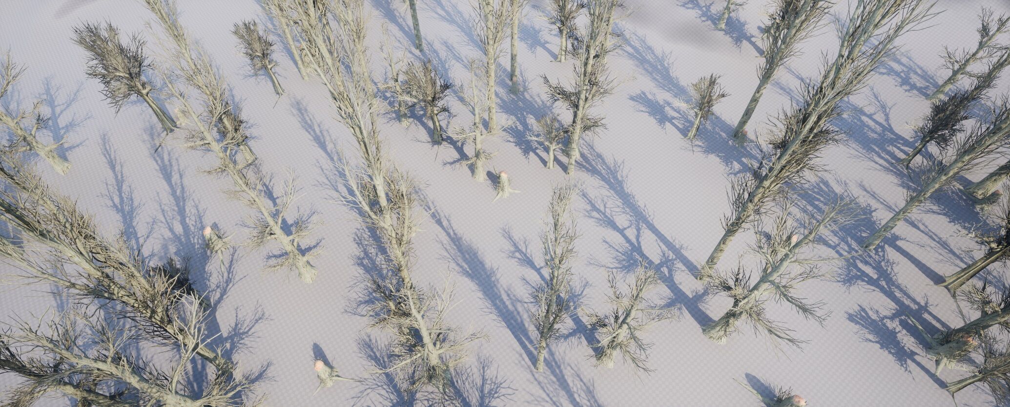 Optimized Dead Tree Pack 01 Low-poly 3D model_1