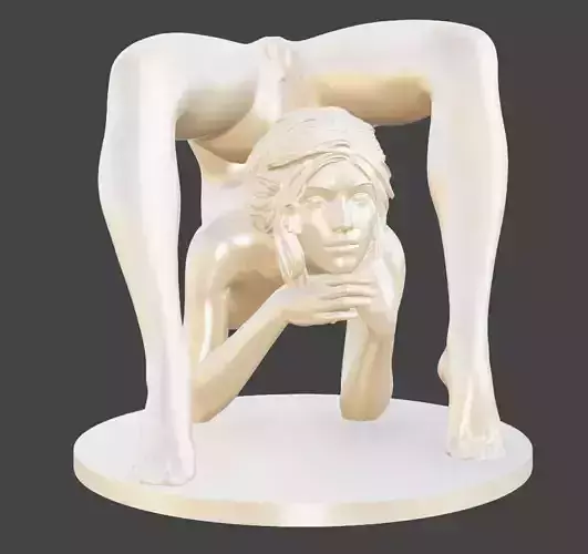 Contortionist Girl