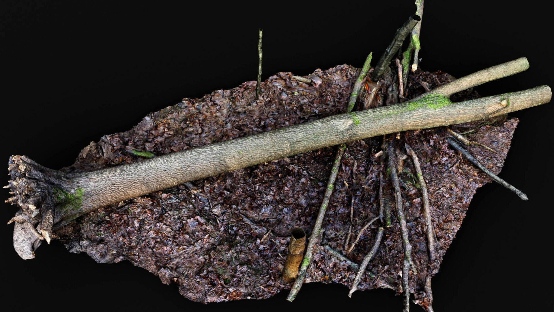 forest ground mossy tree trunks debris pt12 photogrammetry Low-poly 3D model_6