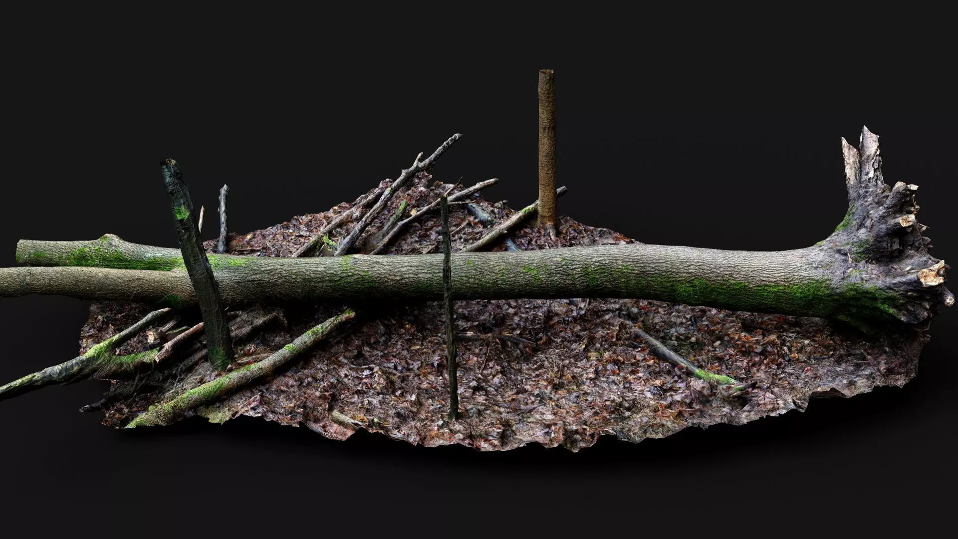 forest ground mossy tree trunks debris pt12 photogrammetry Low-poly 3D model_0
