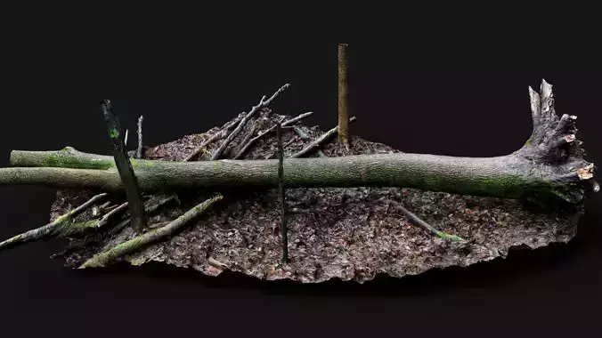 forest ground mossy tree trunks debris pt12 photogrammetry