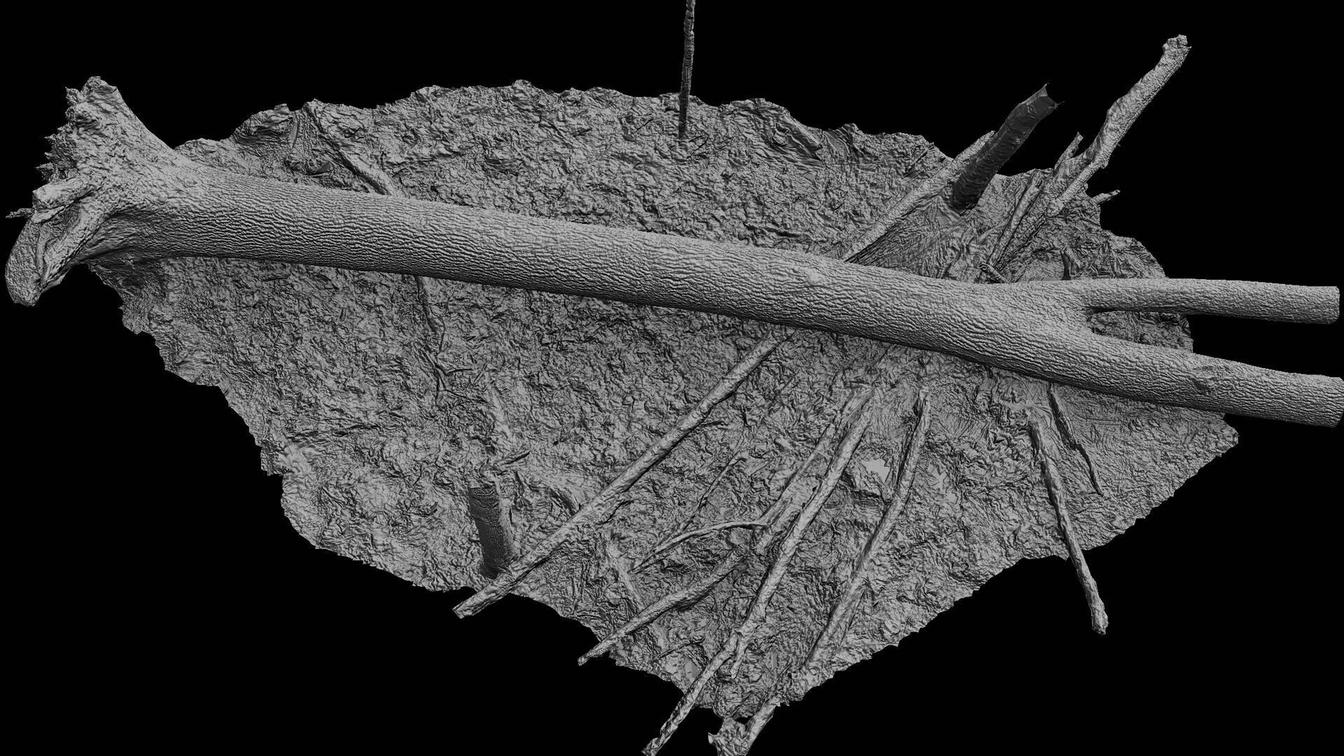 forest ground mossy tree trunks debris pt12 photogrammetry Low-poly 3D model_7