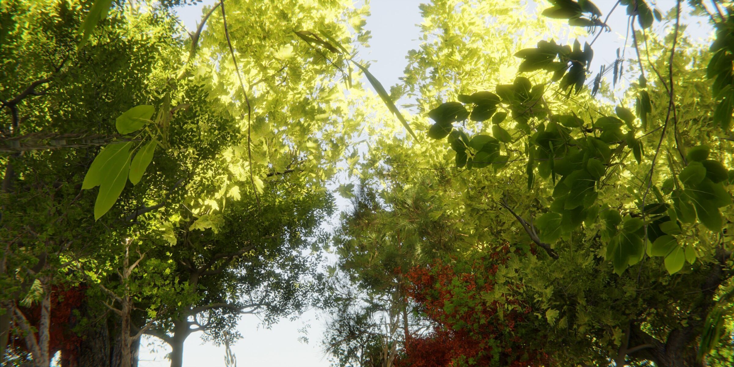 Make Forest V2 Geometry nodes Forest River and Path Generator 3D model_6