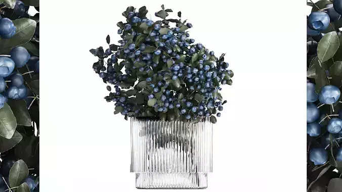 Bouquet Of Blueberry Branches In A Modern Glass 500