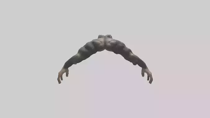 Chimpanzee Arms Model 3D model