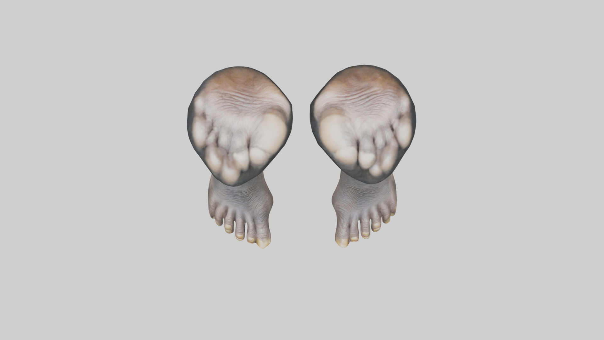 Chimpanzee Feet 3D model_14