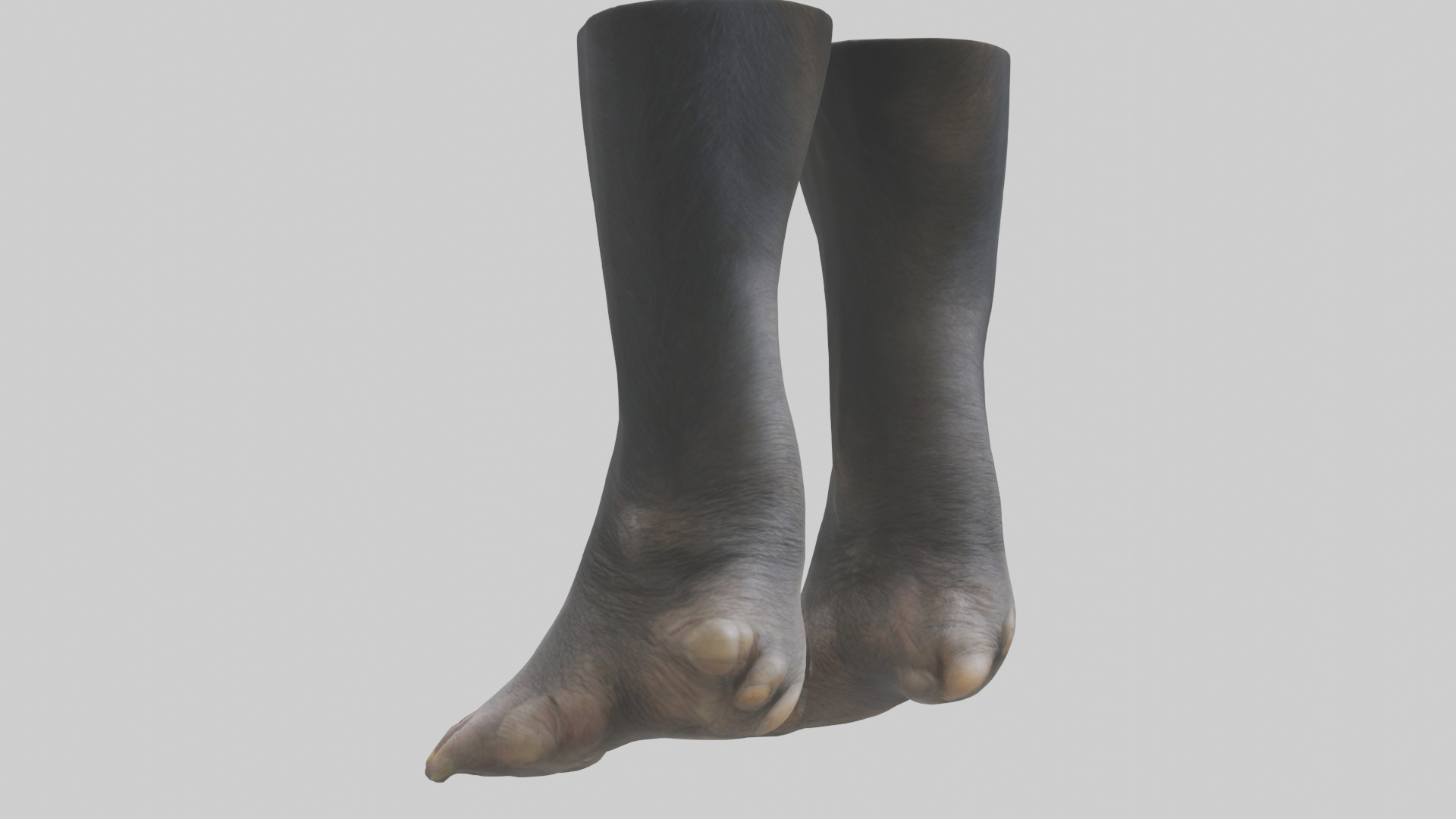 Chimpanzee Feet 3D model_1