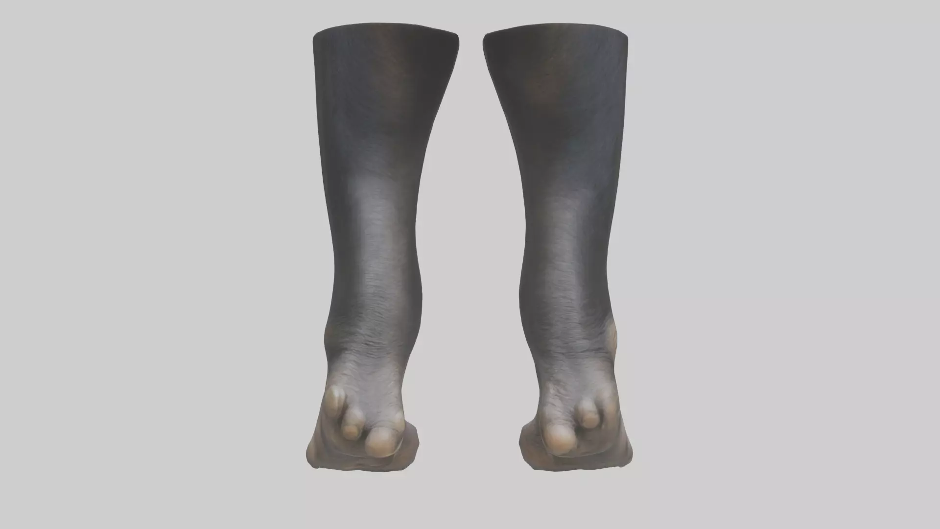 Chimpanzee Feet 3D model_0