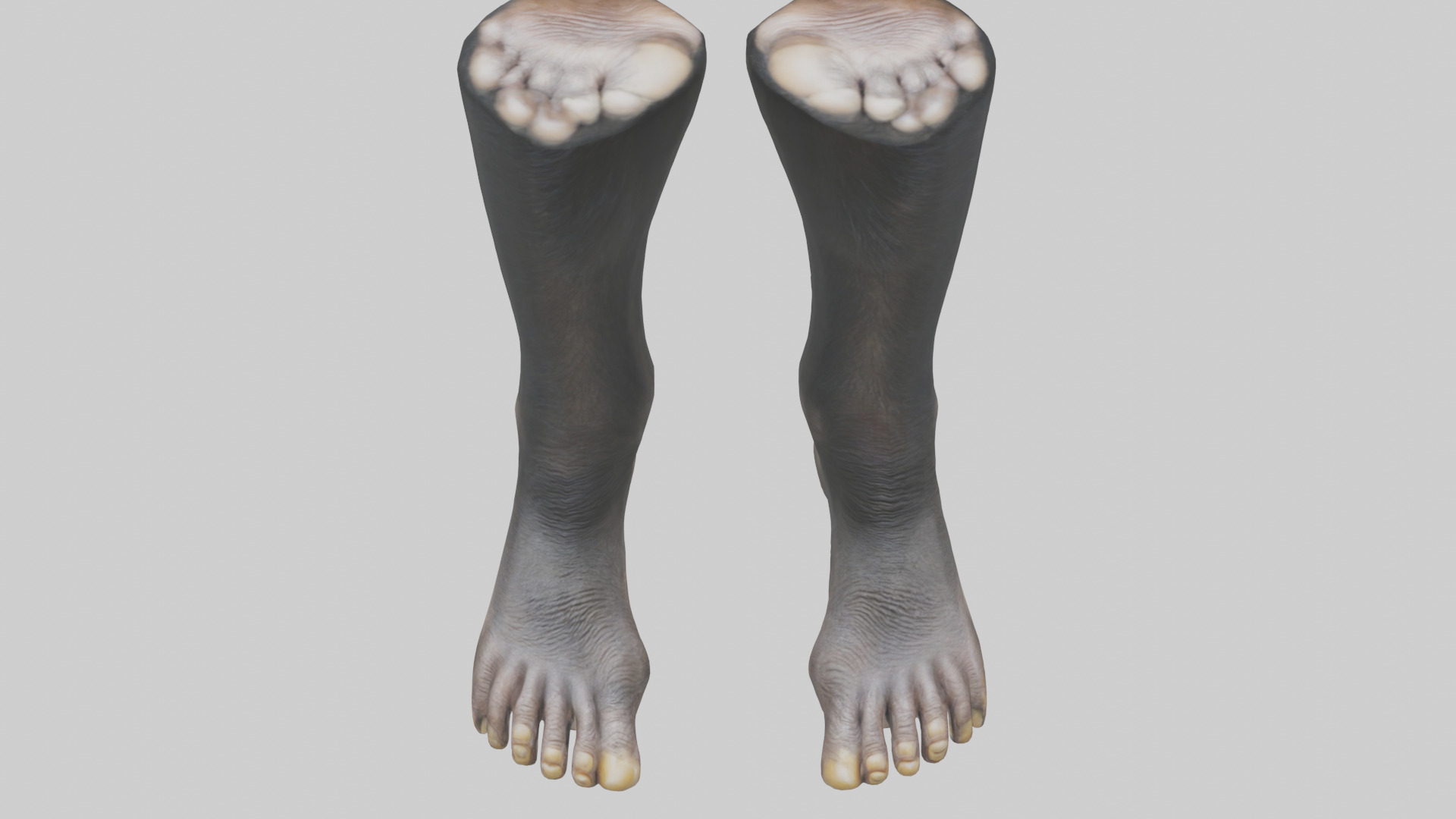 Chimpanzee Feet 3D model_16