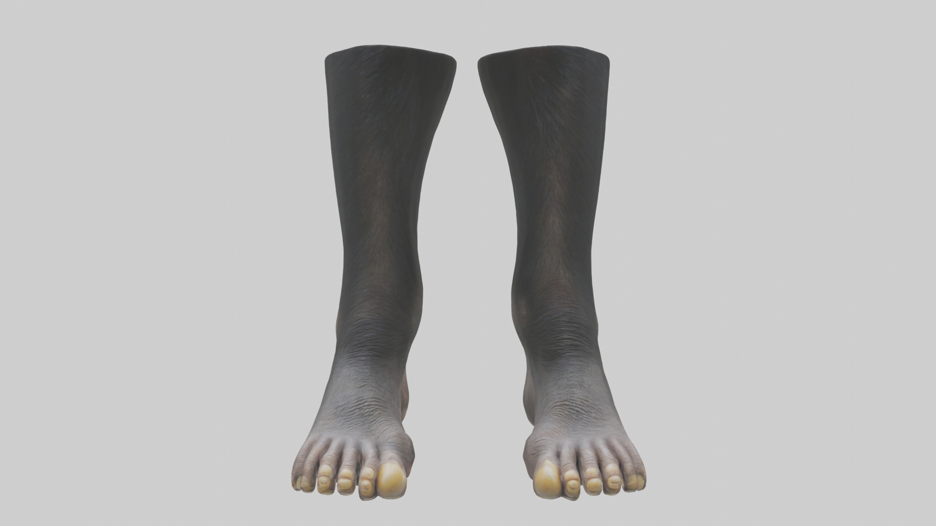 Chimpanzee Feet 3D model_9