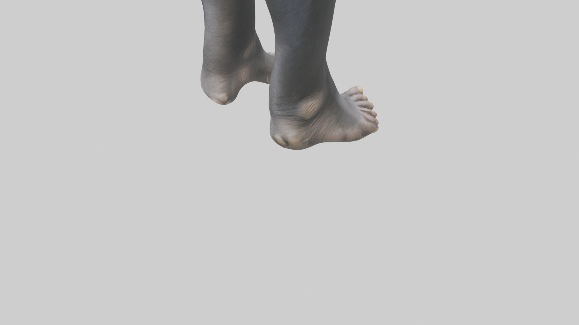 Chimpanzee Feet 3D model_4