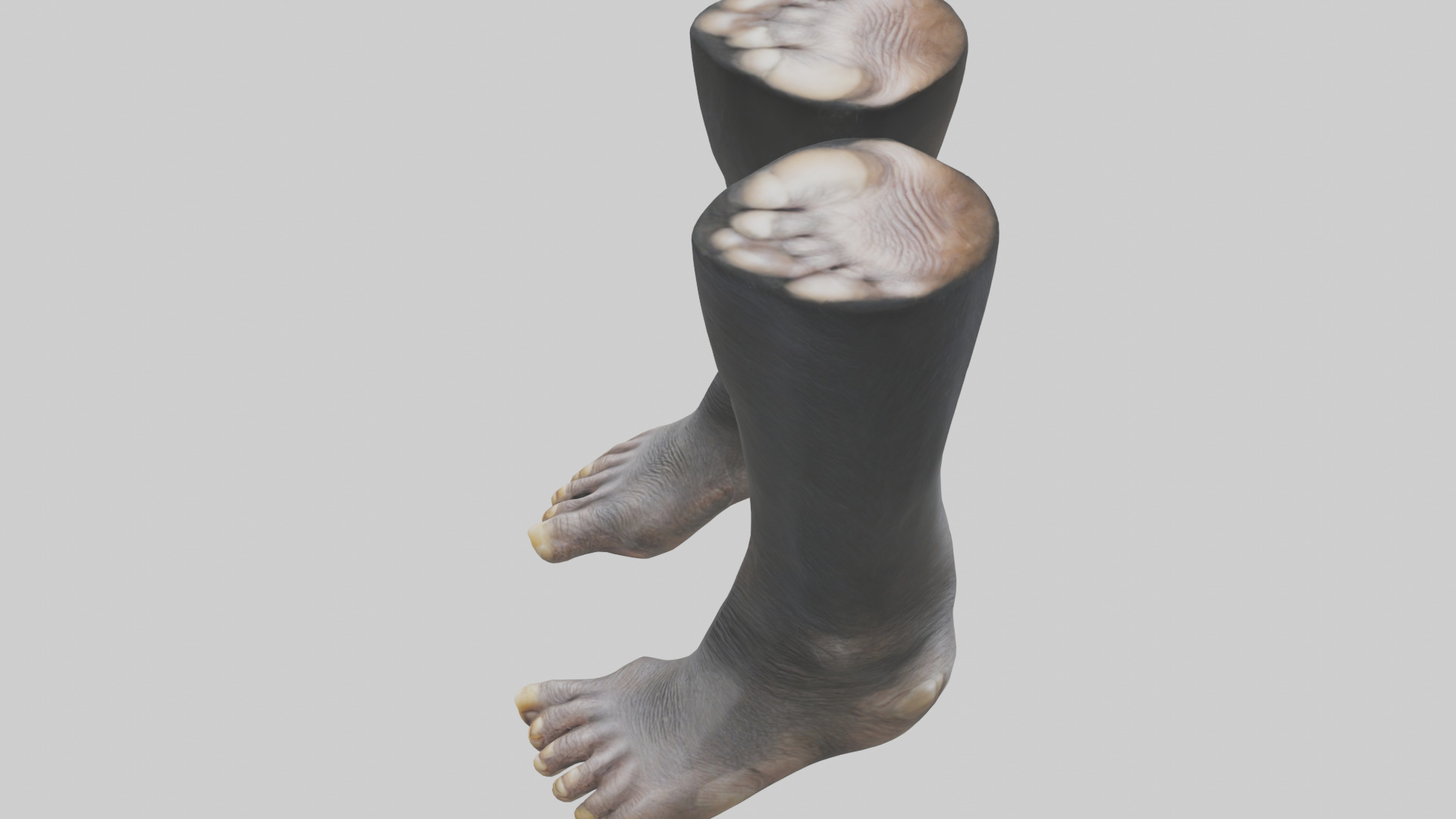 Chimpanzee Feet 3D model_17