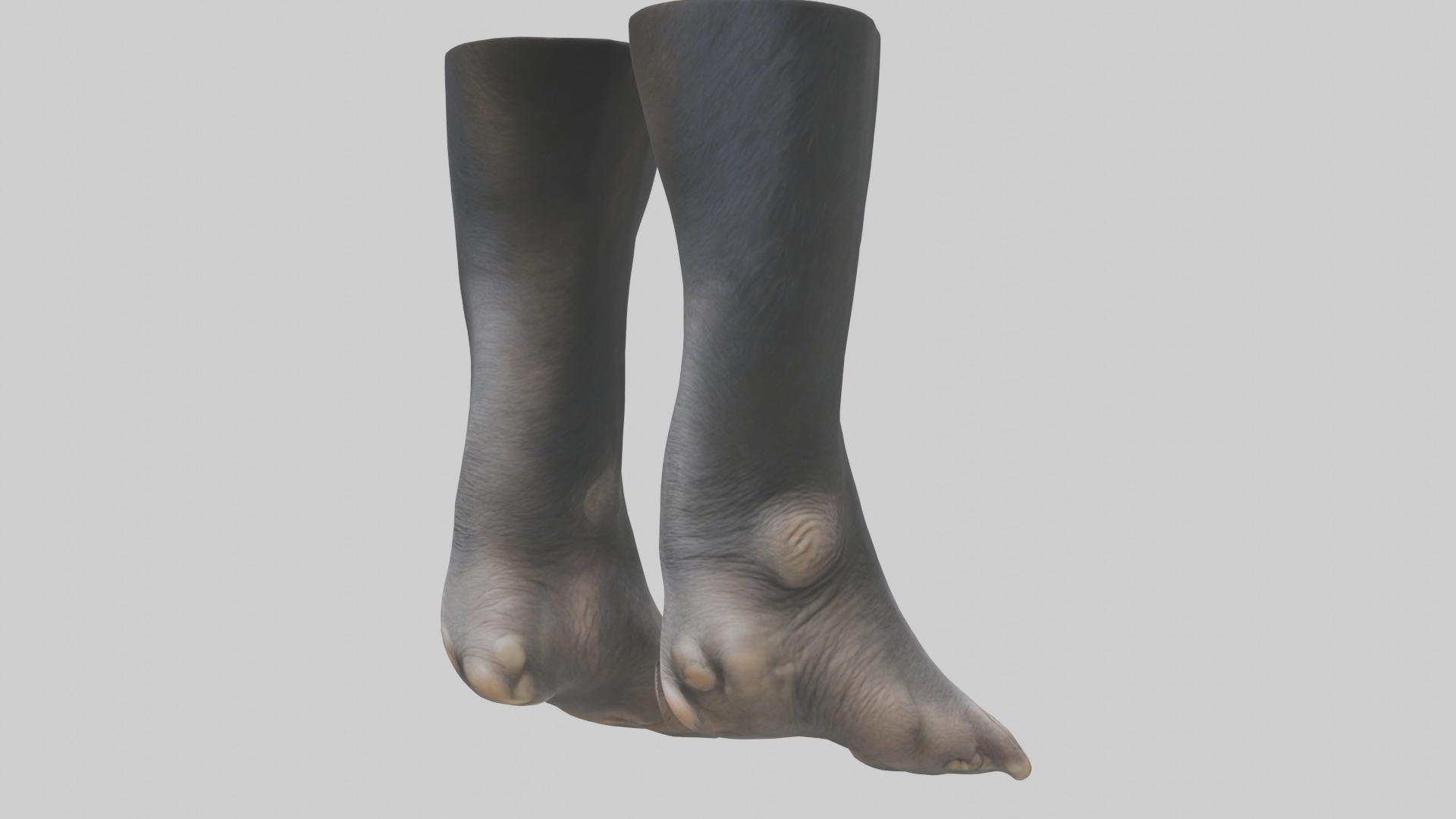 Chimpanzee Feet 3D model_2