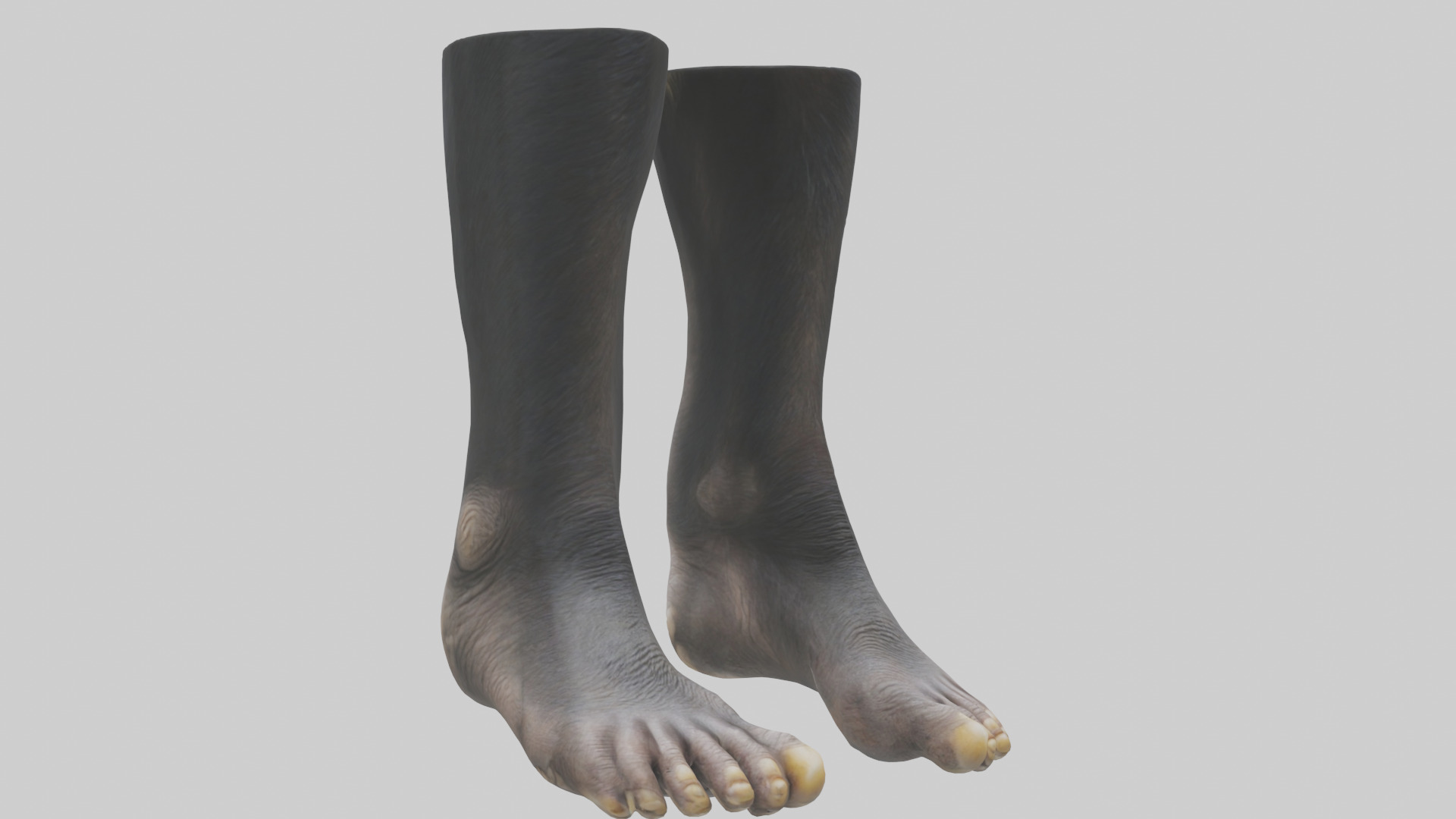 Chimpanzee Feet 3D model_7