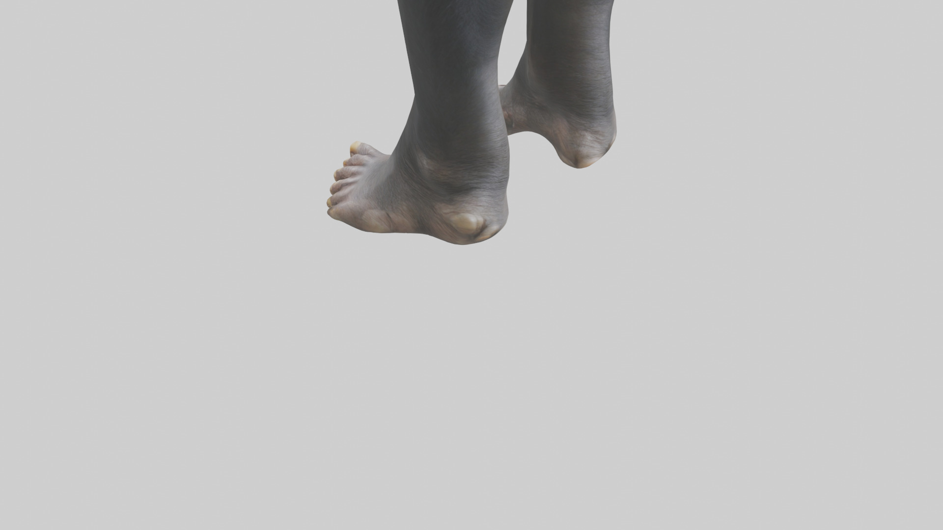 Chimpanzee Feet 3D model_3