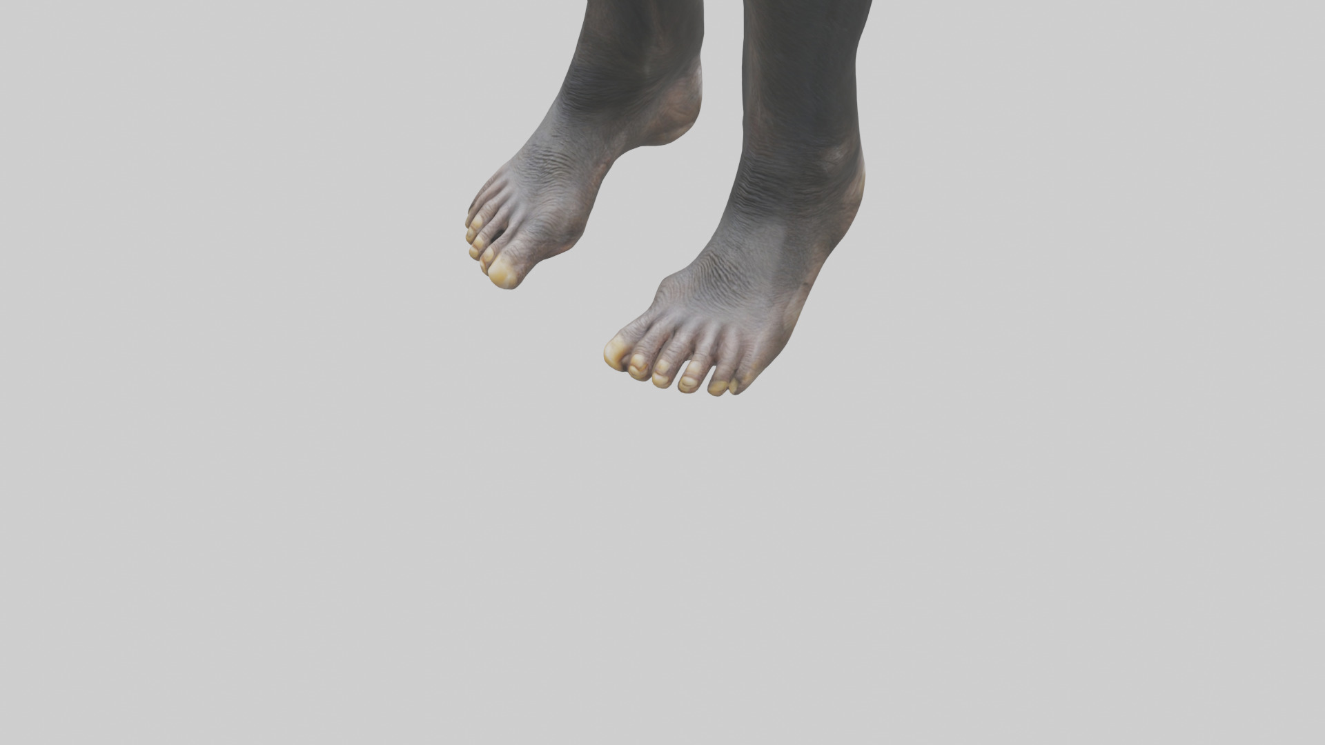 Chimpanzee Feet 3D model_5
