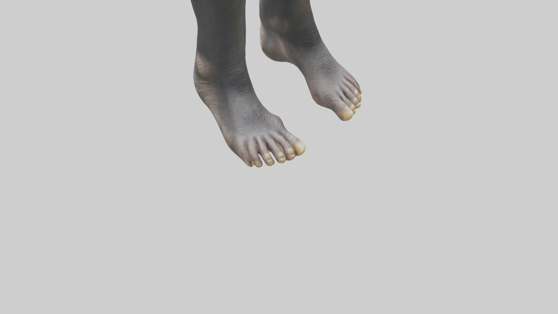 Chimpanzee Feet 3D model_6