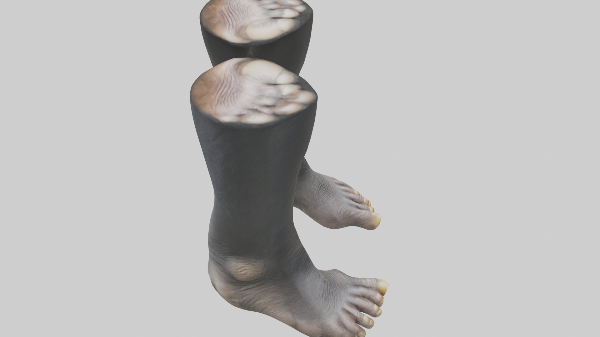 Chimpanzee Feet 3D model_18