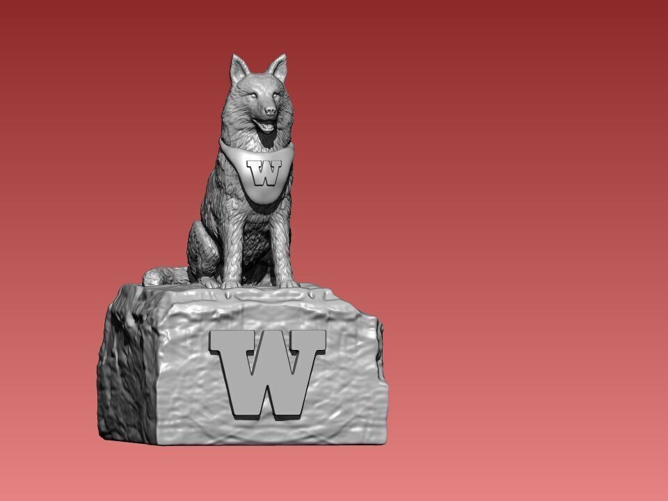 NCAA - Washington huskies mascot statue - 3d Print 3D print model_4