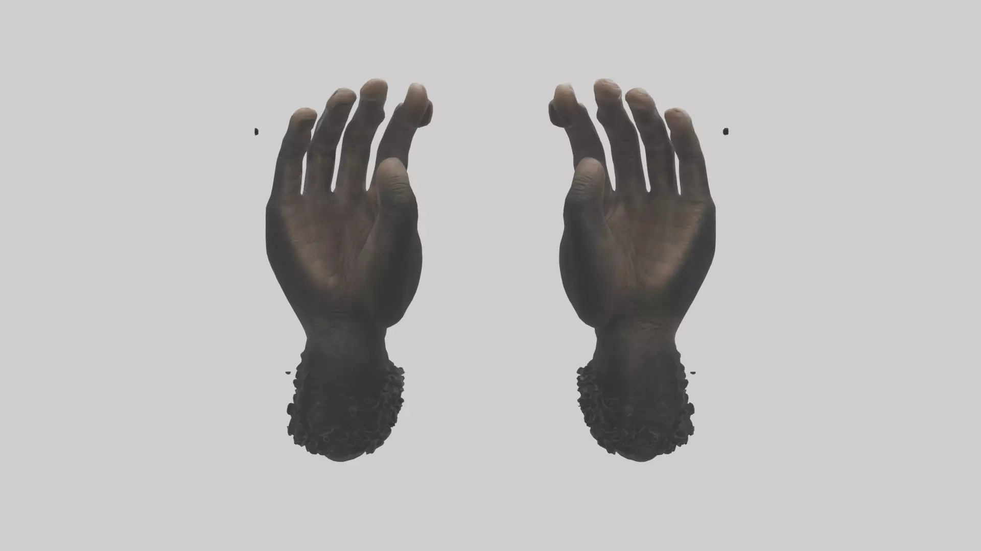 Chimpanzee Hands 3D model_0