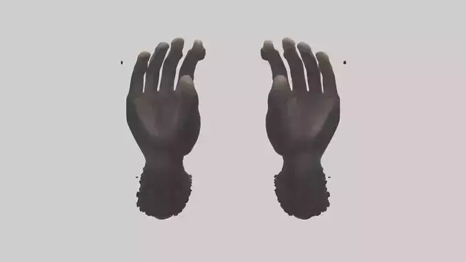 Chimpanzee Hands 3D model