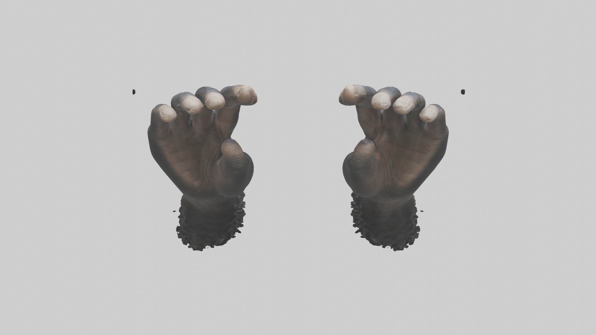 Chimpanzee Hands 3D model_15