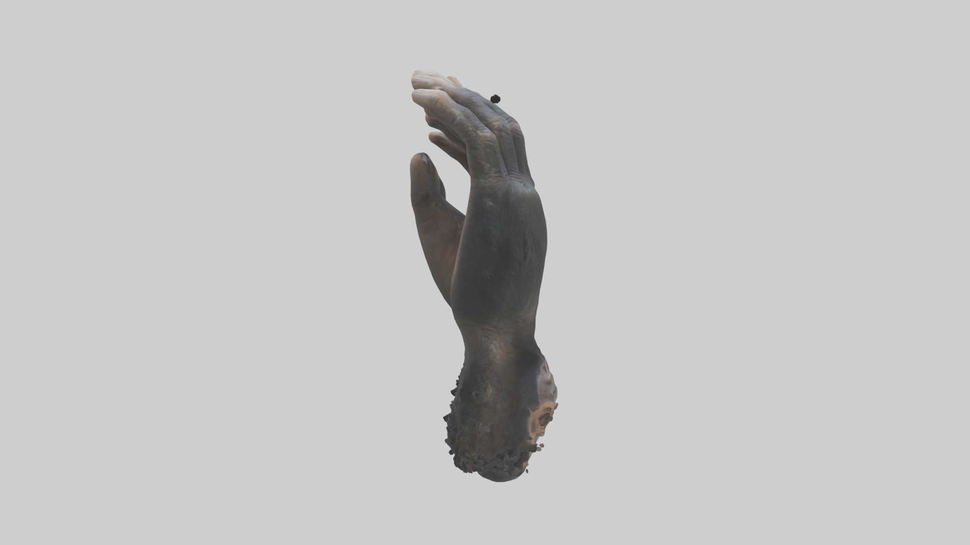 Chimpanzee Hands 3D model_13